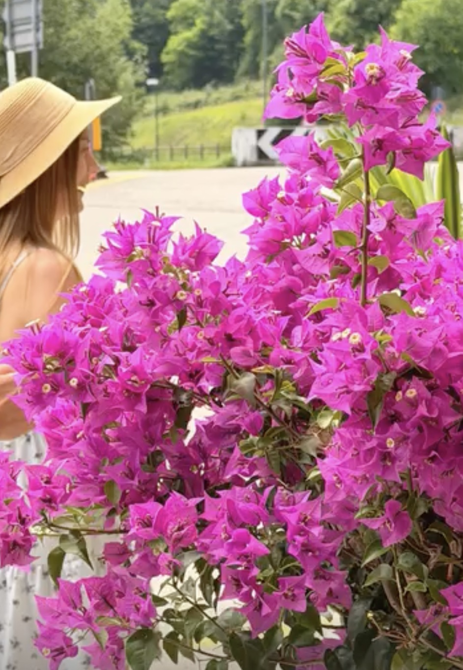 Il giardino fiorito di GIANIMA al Lago di Tenno